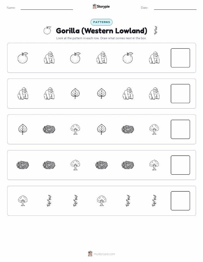 Patterns
