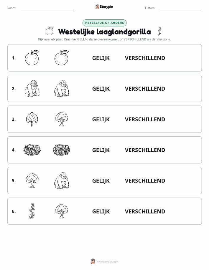 Zelfde of Verschillend