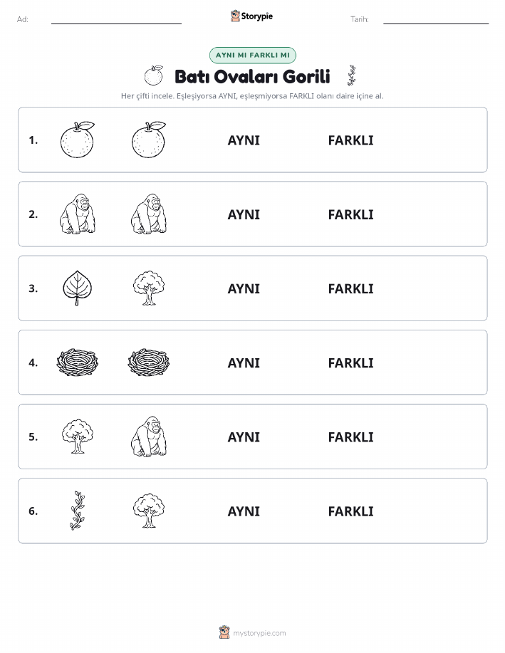 Aynı mı Farklı mı