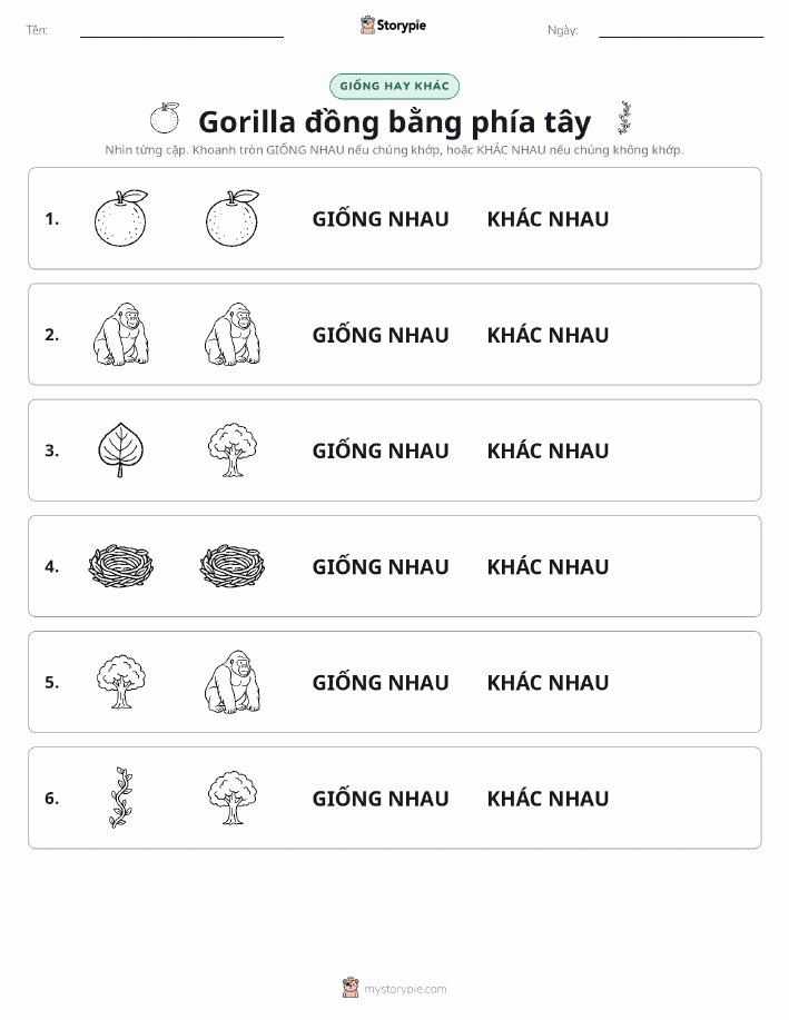 Giống Hay Khác