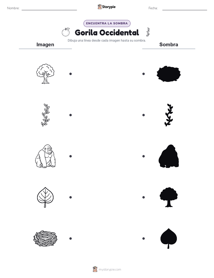 Coincidencia de Sombras