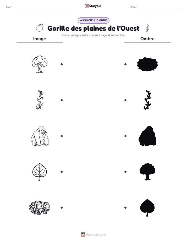 Correspondance d'Ombres