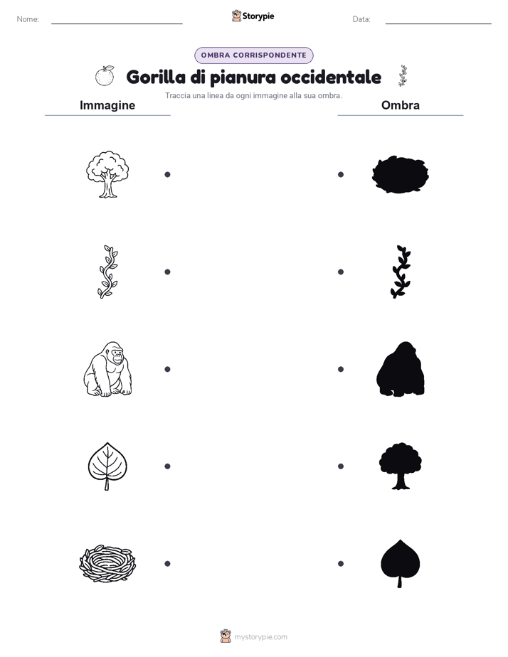Corrispondenza Ombra