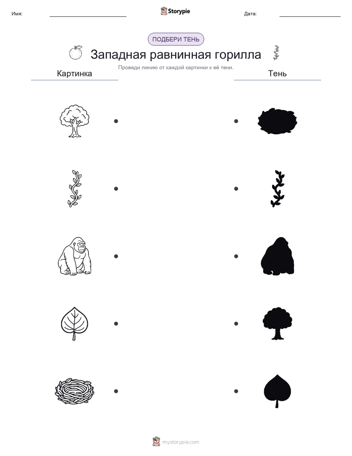 Сопоставление теней