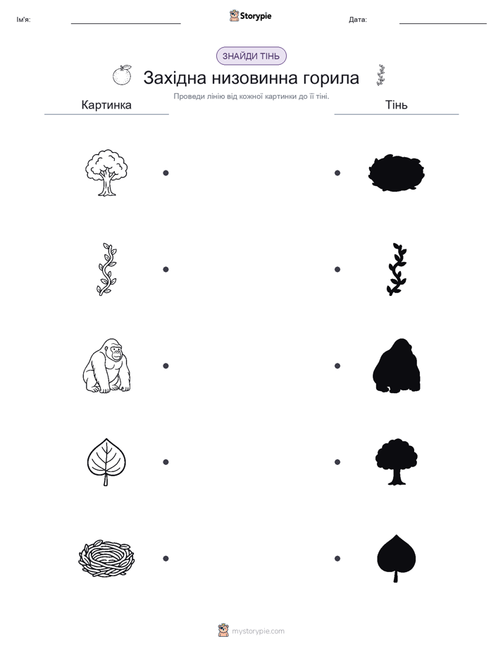 Тіньове Відповідність