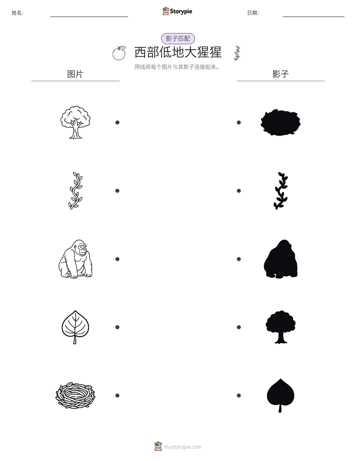 影子匹配