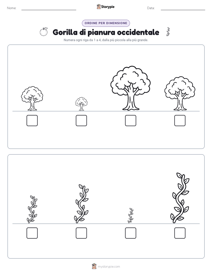 Ordine di Dimensione