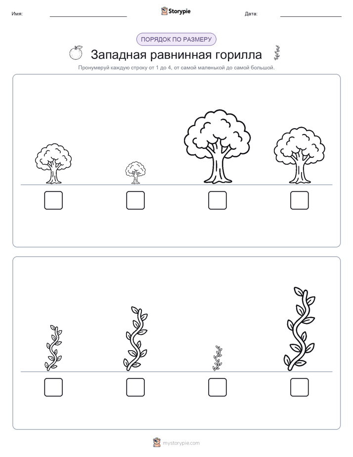 Размеры в порядке