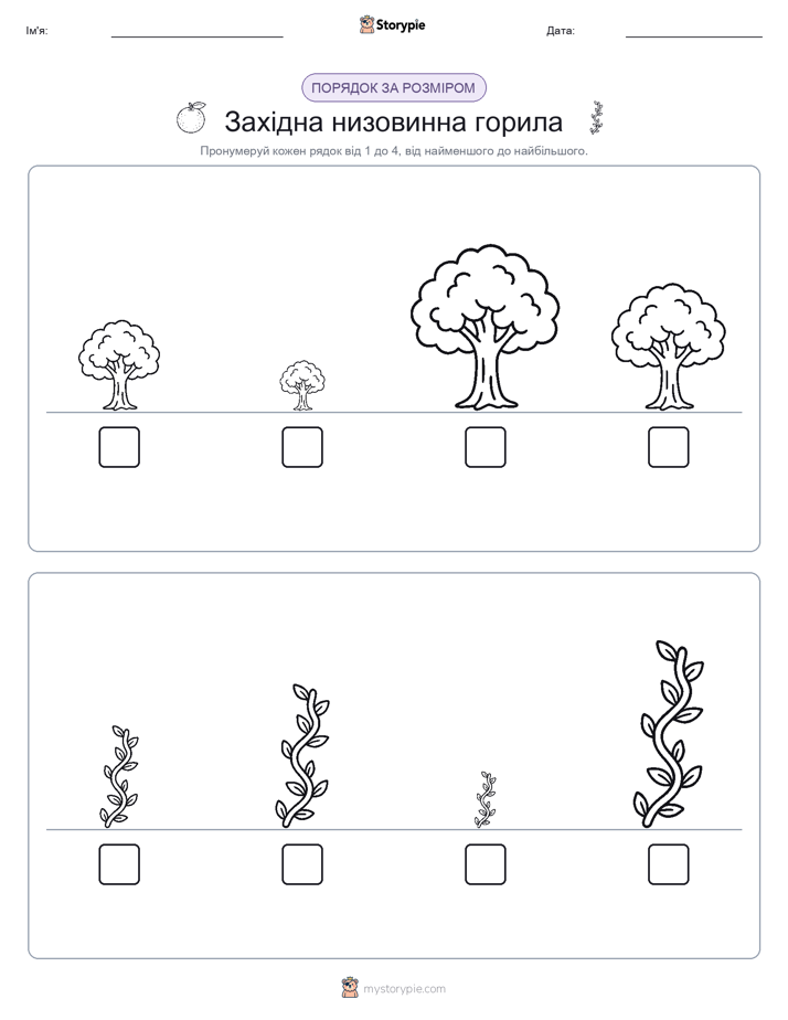 Порядок Розміру