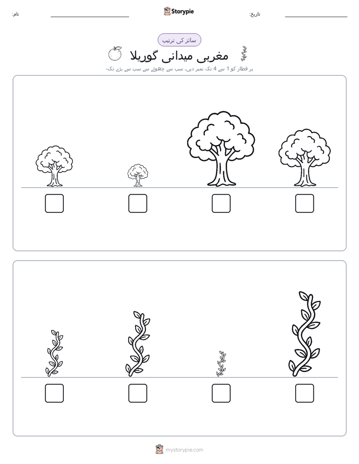 سائز کی ترتیب