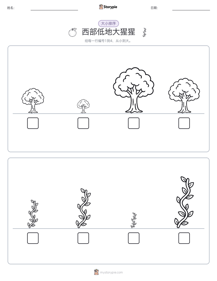 大小排序