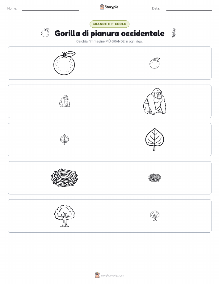 Ordinamento