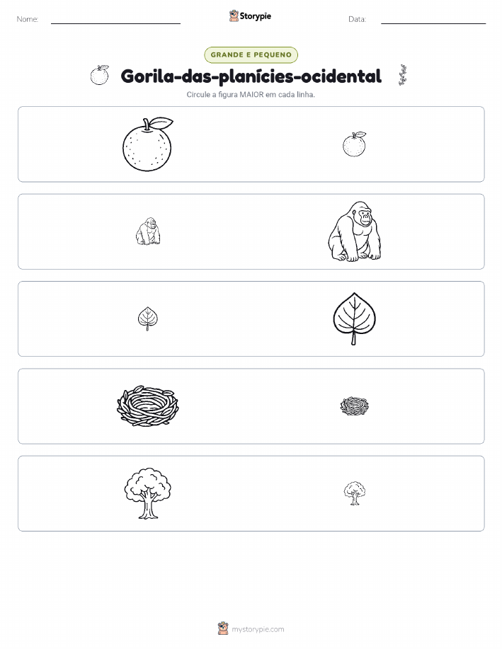 Classificação