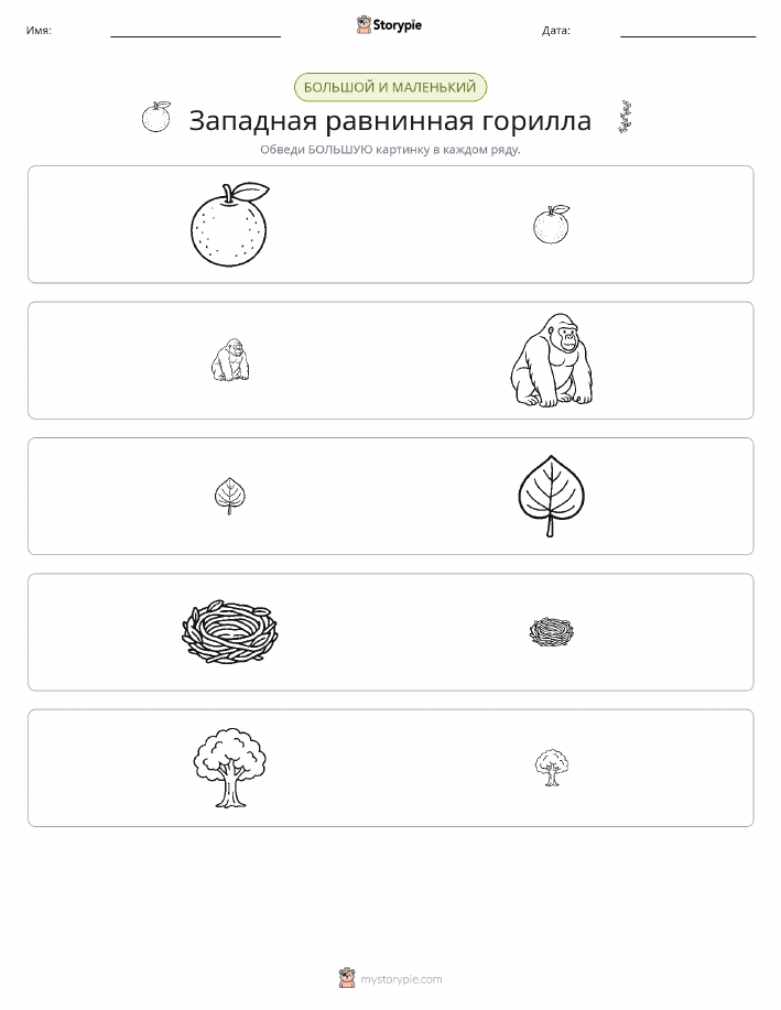 Сортировка