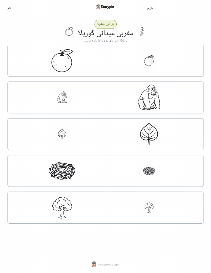 ترتیب دینا