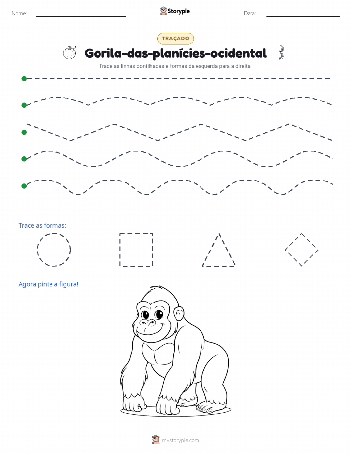 Rastreamento