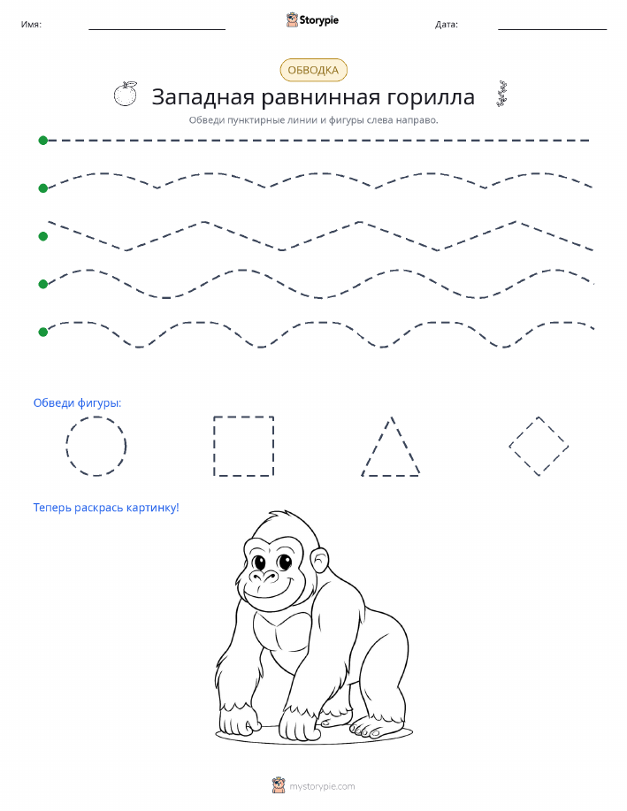 Обводка