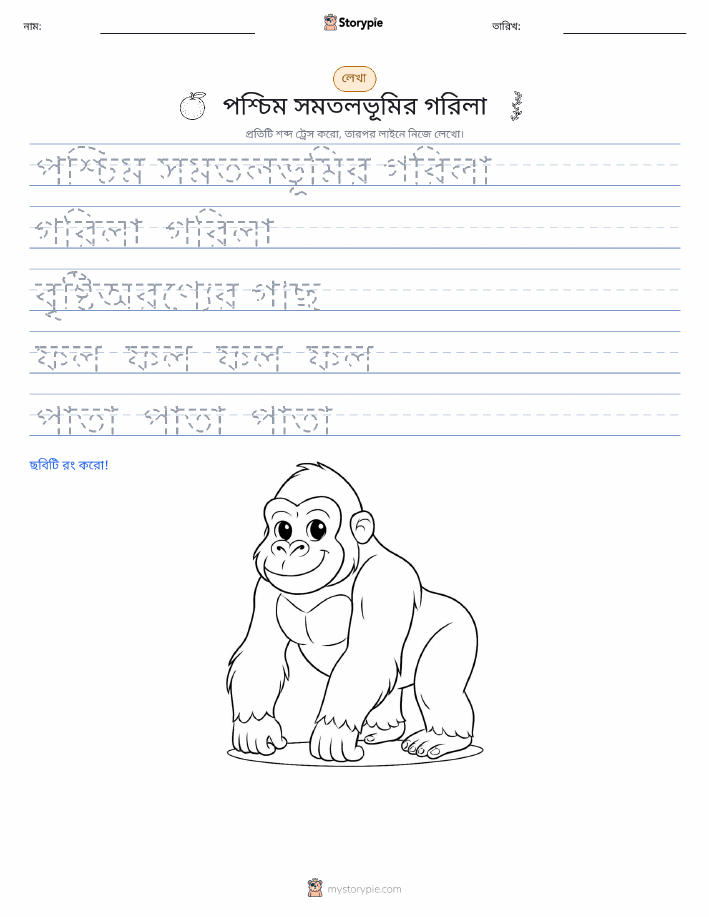 লেখার অনুশীলন