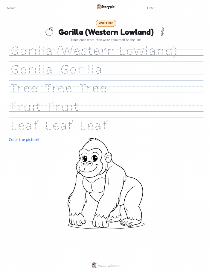 Writing Practice