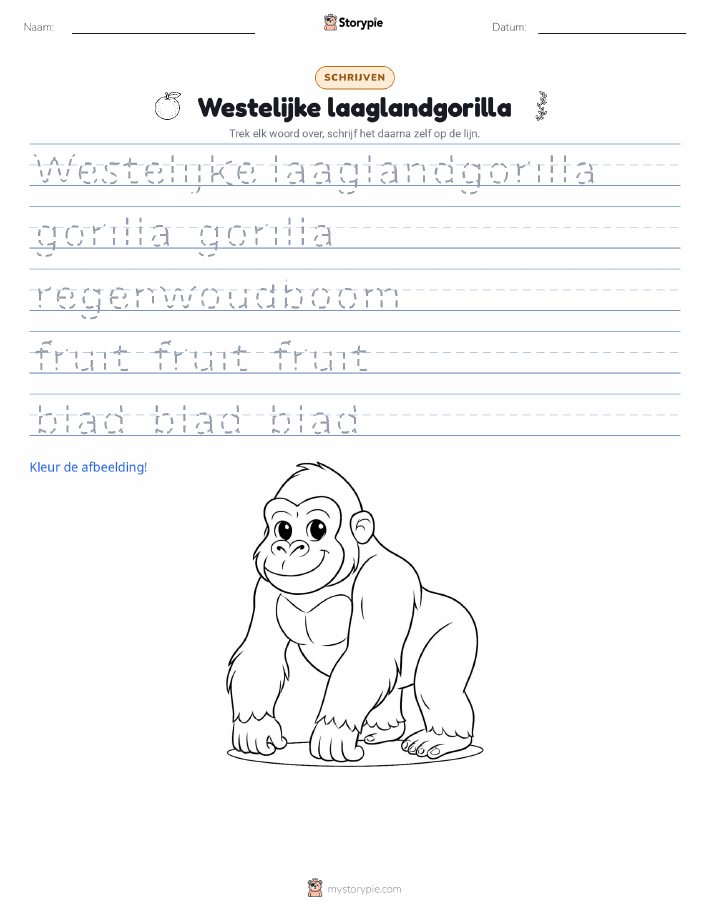 Schrijf Oefening