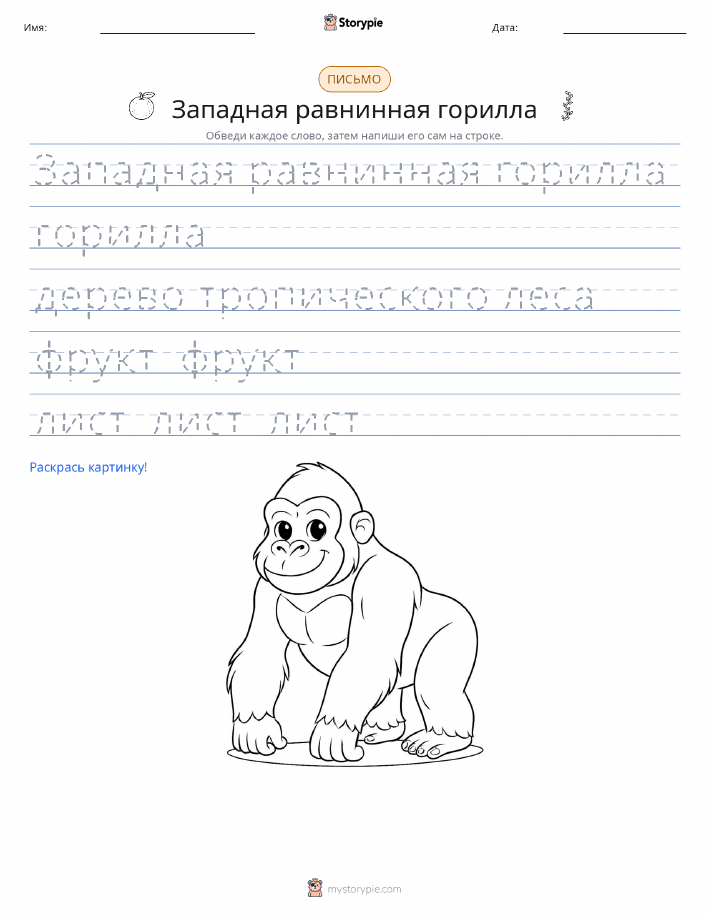 Практика письма