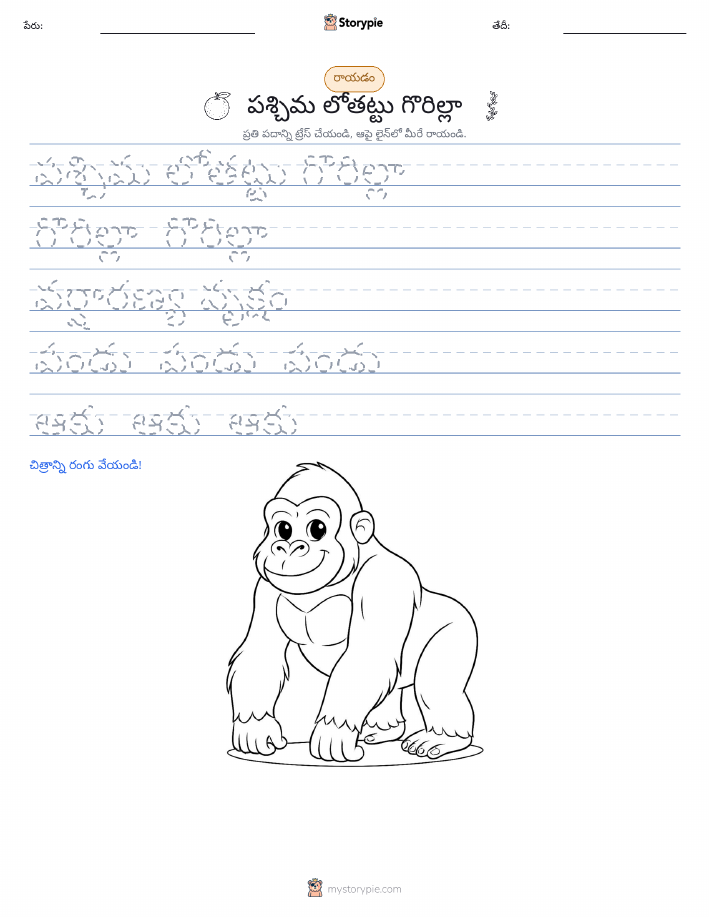 రాయడం సాధన