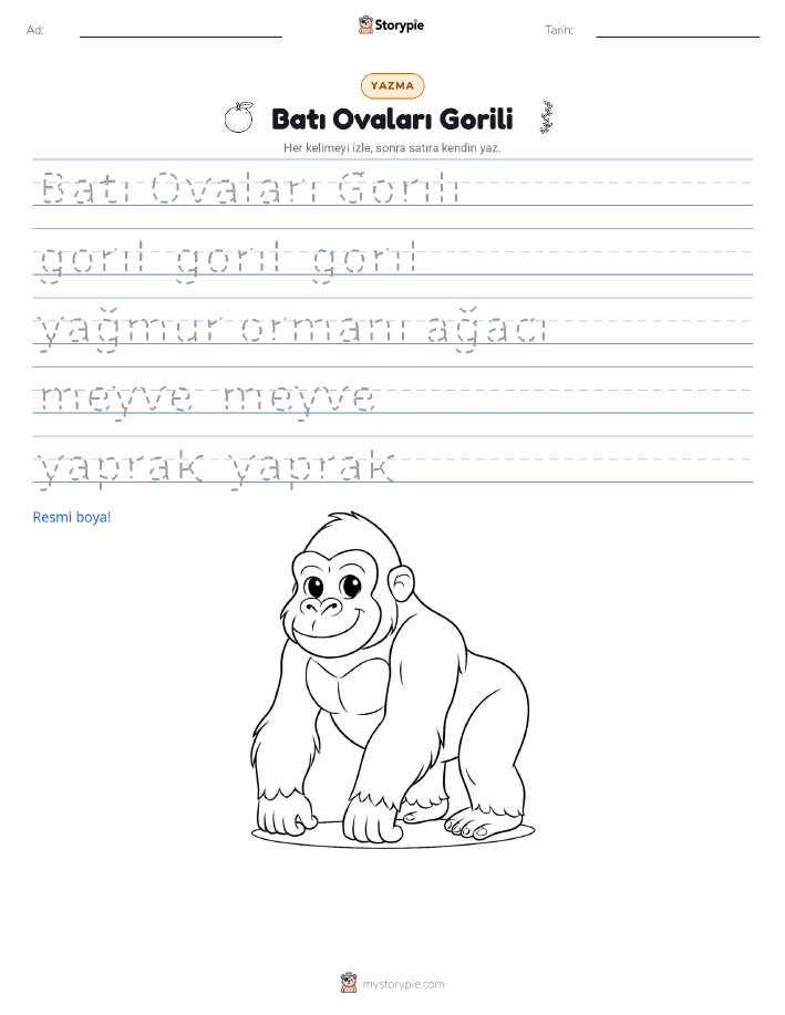 Yazma Pratiği