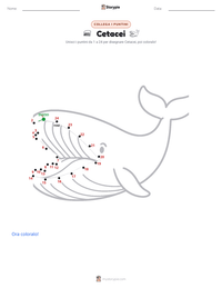 Anteprima della scheda stampabile di Cetacei