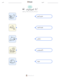 معاينة ورقة العمل القابلة للطباعة الحيتانيات
