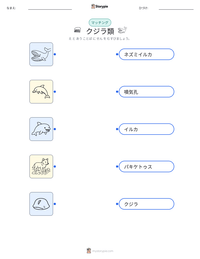クジラ類 の印刷可能ワークシートプレビュー