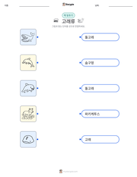 고래류 인쇄 가능한 워크시트 미리보기