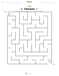 Cetaceans printable worksheet preview