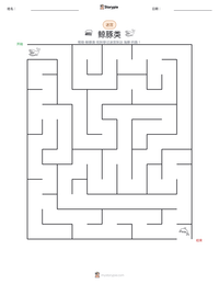 鲸豚类 可打印工作表预览