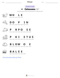 Cetaceans printable worksheet preview