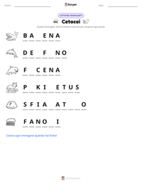 Anteprima della scheda stampabile di Cetacei