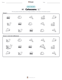 Cetaceans printable worksheet preview