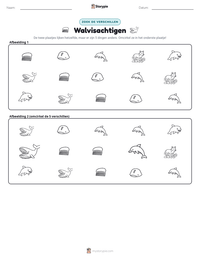 Walvisachtigen afdrukbare werkblad voorbeeld