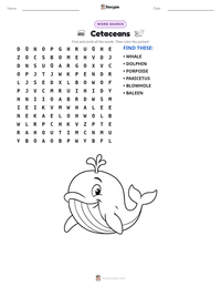 Cetaceans printable worksheet preview