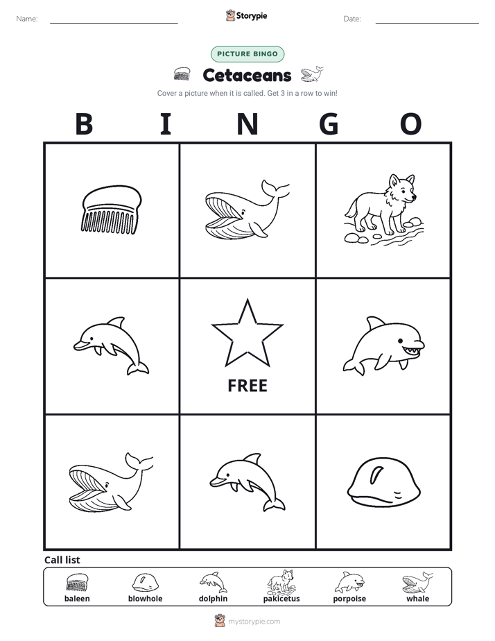 Picture Bingo