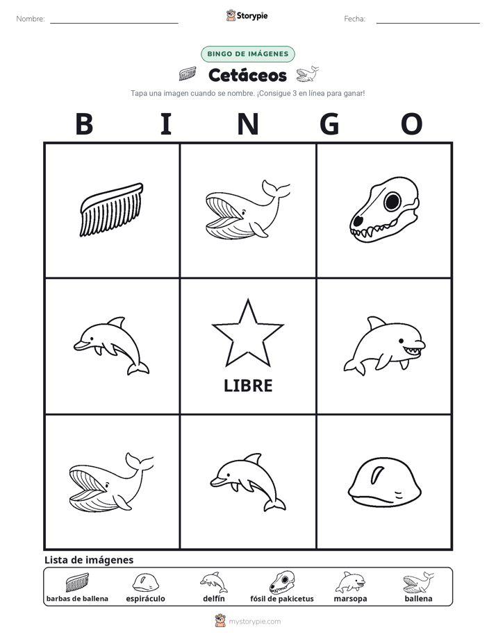 Bingo de Imágenes