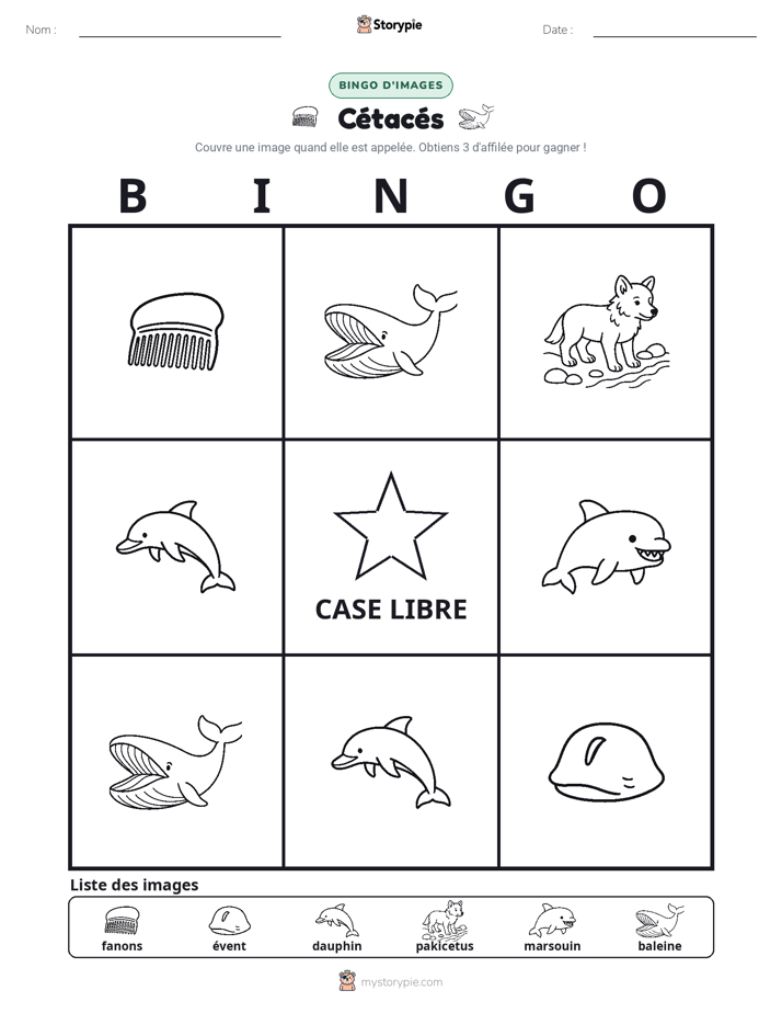 Bingo d'Images