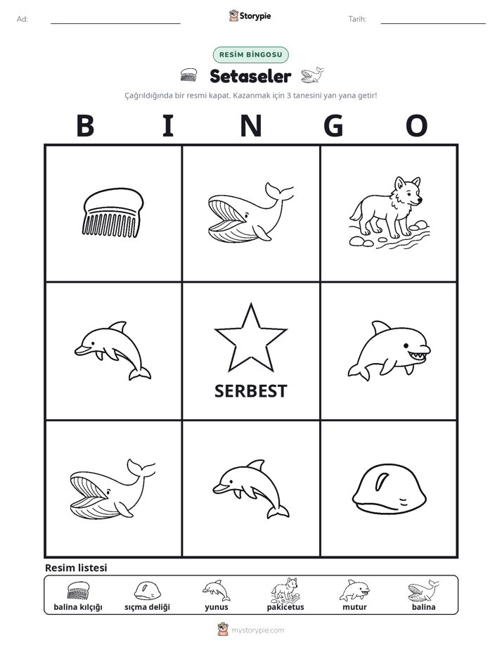 Resim Bingo