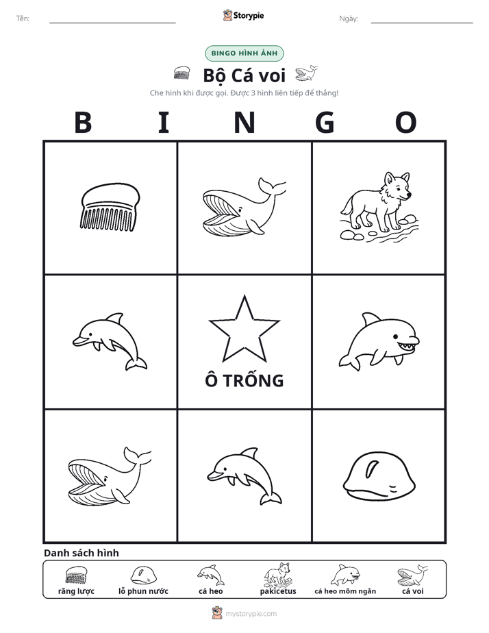 Bingo Hình Ảnh