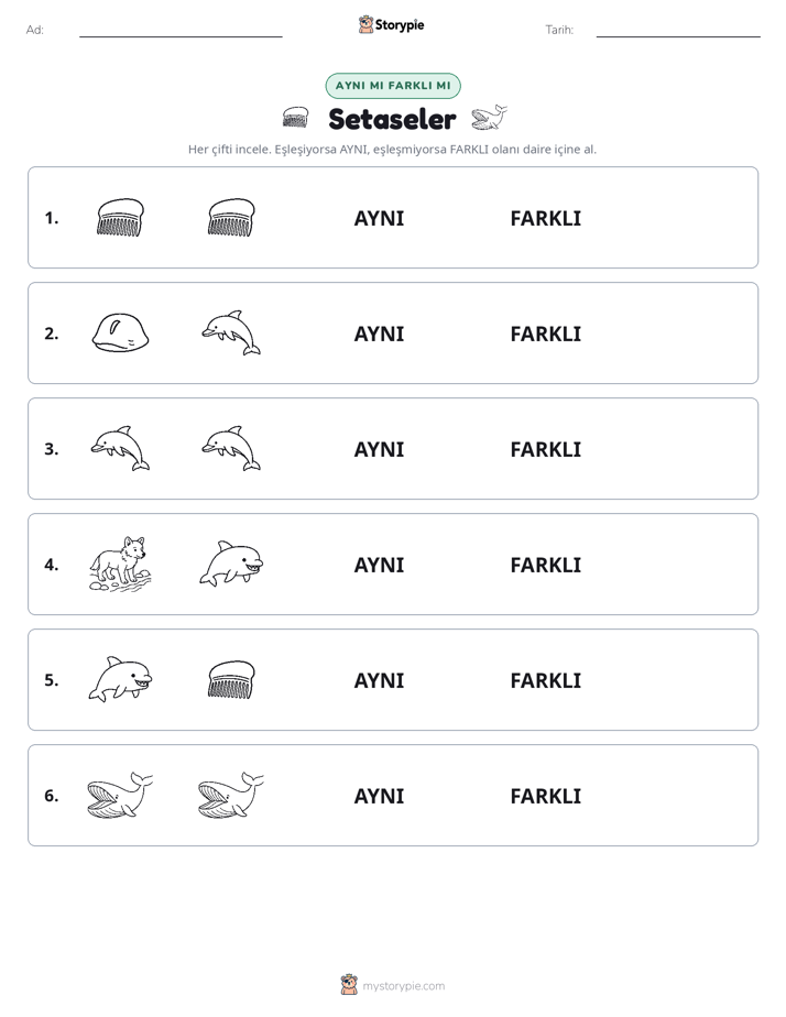 Aynı mı Farklı mı