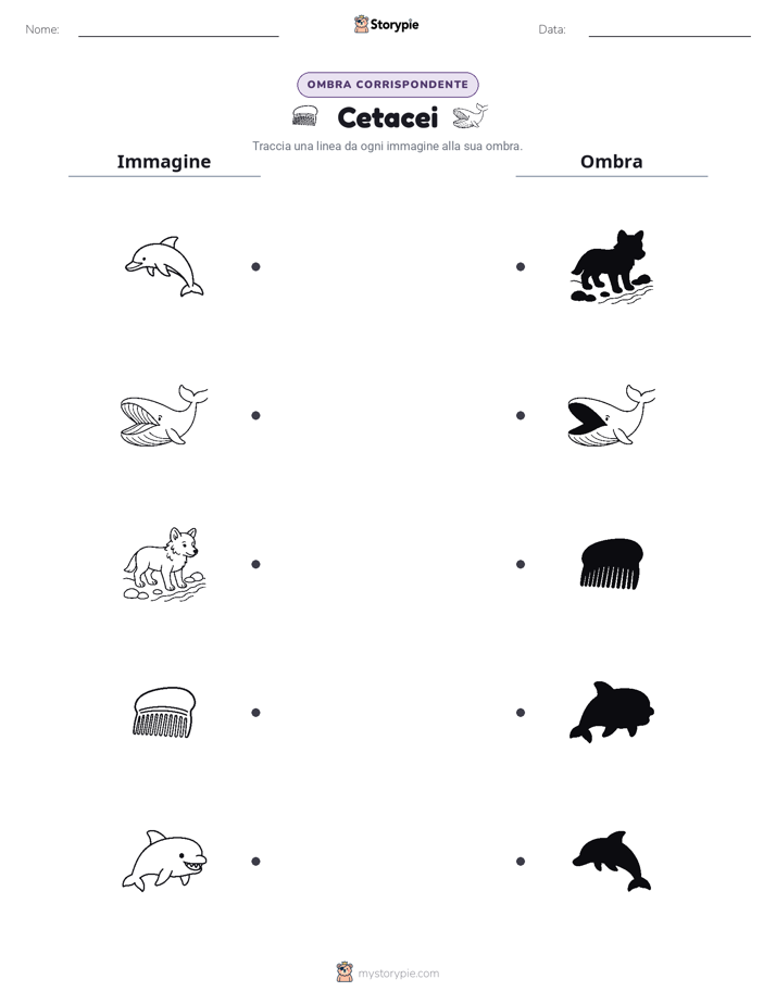 Corrispondenza Ombra