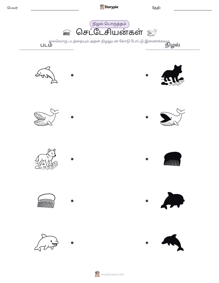 நிழல் பொருத்தம்