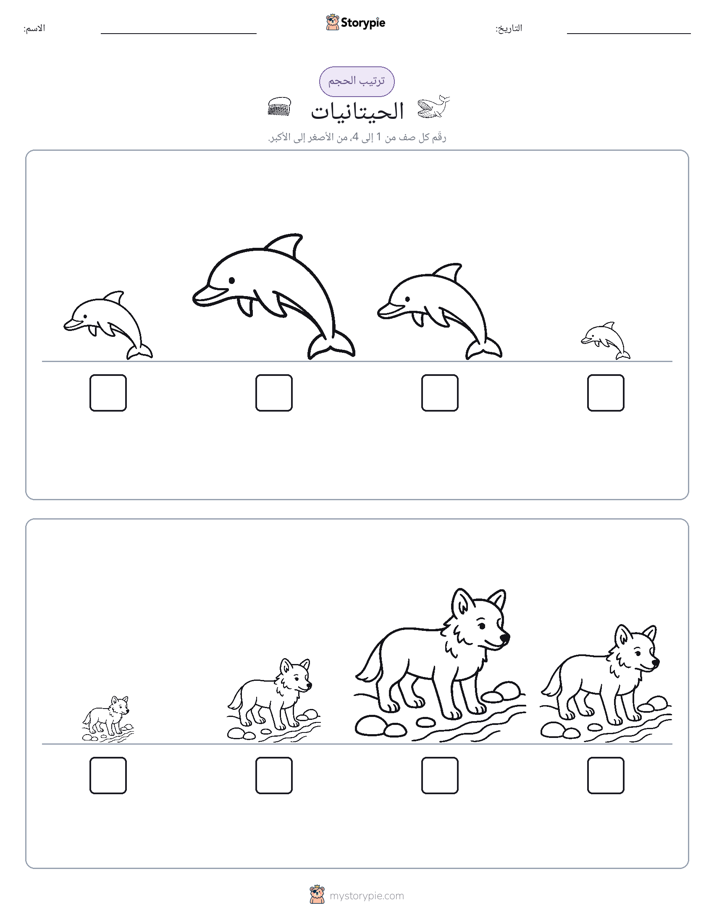 ترتيب الحجم