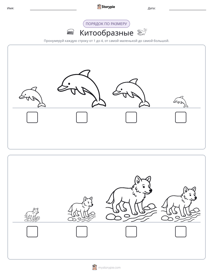 Размеры в порядке