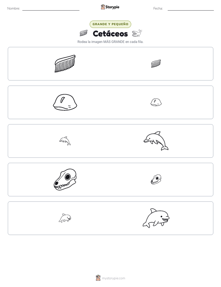 Clasificación