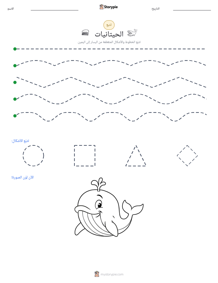 تتبع